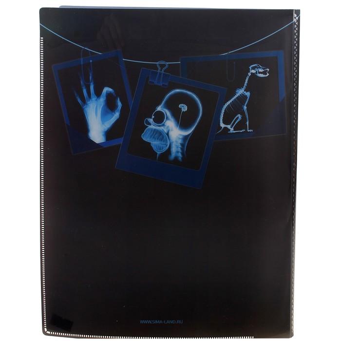 Папка с файлами (10 шт.) "Фотолаборатория", А4