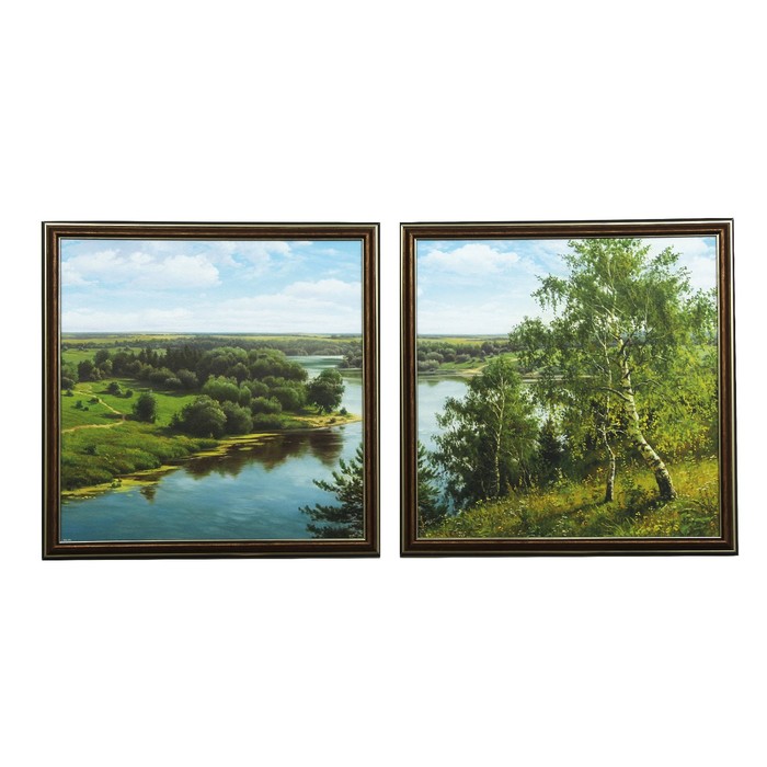 Модульная картина "Широкая река" (36х36-2 шт) 36х72 см