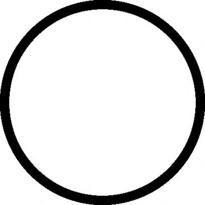 Прокладка впускного коллектора  ELRING 497360