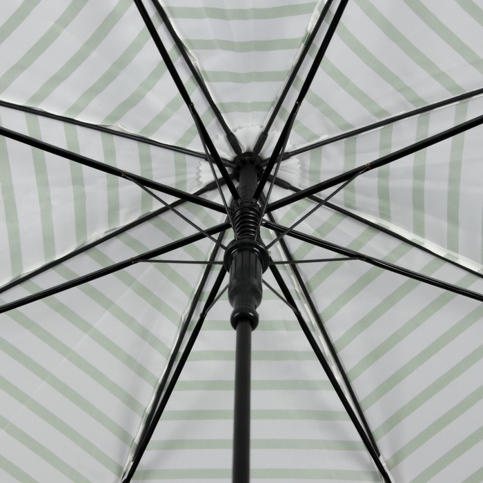 Зонт-трость "Горизонтальные полосы", полуавтоматический, R=50см, цвет белый/зелёный