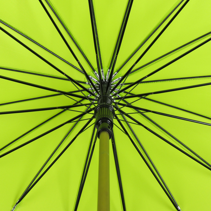 Зонт-трость "Цветы", полуавтоматический, R=56см, цвет салатовый