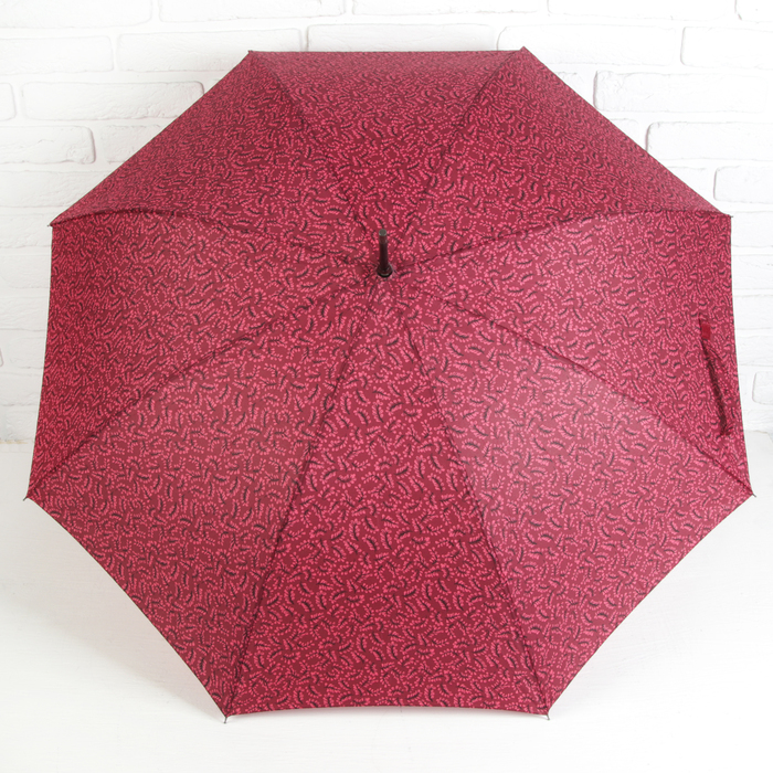 Зонт-трость "Колоски", полуавтоматический, R=52см, цвет красный