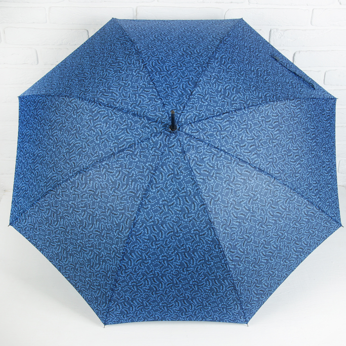 Зонт-трость "Колоски", полуавтоматический, R=52см, цвет синий
