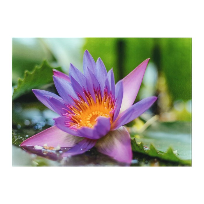 Картина на стекле "Сиреневый цветок" 41х29 см