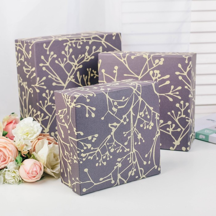 Набор коробок 3в1, 23,5 х 23,5 х 10,5 - 18 х 18 х 8 см