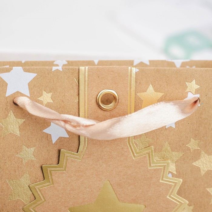 Пакет крафт, люкс, 18 х 8 х 16 см