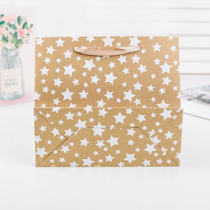 Пакет крафт, люкс, 18 х 8 х 16 см