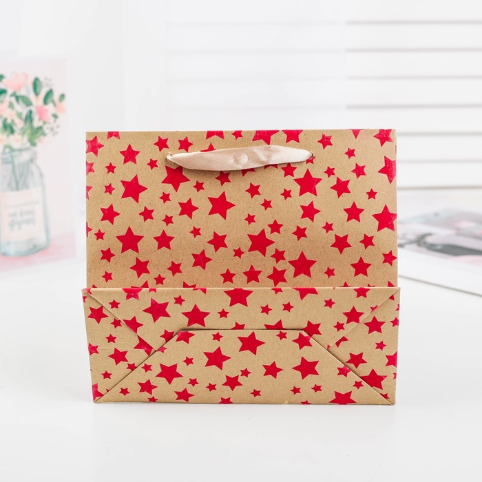 Пакет крафт, люкс, 18 х 8 х 16 см