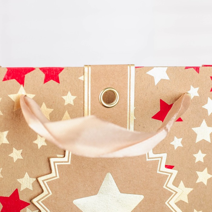 Пакет крафт, люкс, 18 х 8 х 16 см