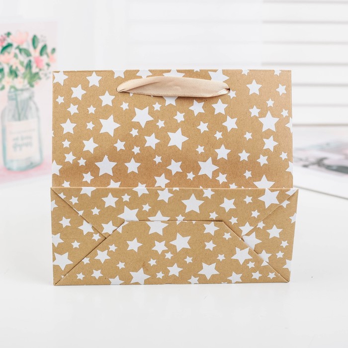 Пакет крафт, люкс, 18 х 8 х 16 см