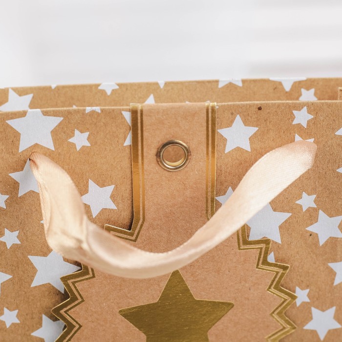 Пакет крафт, люкс, 18 х 8 х 16 см