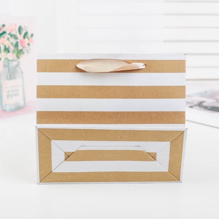 Пакет крафт, люкс, 18 х 8 х 16 см