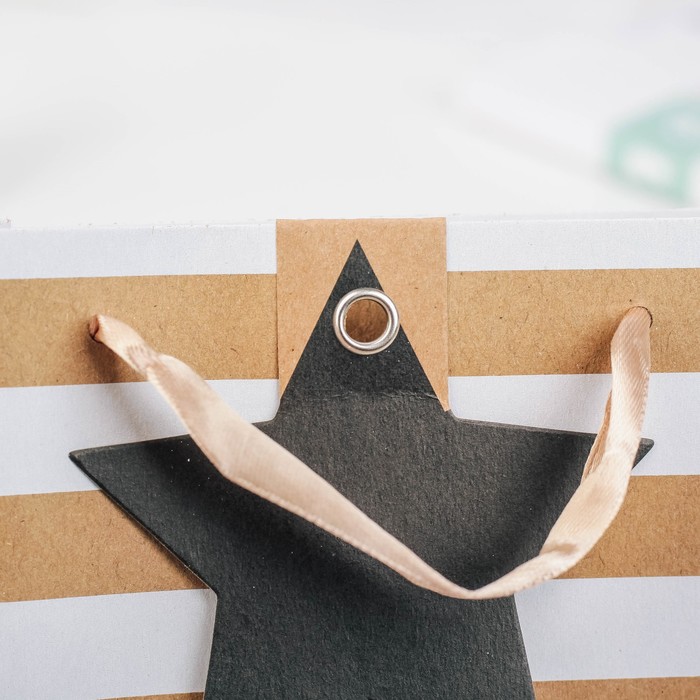 Пакет крафт, люкс, 18 х 8 х 16 см