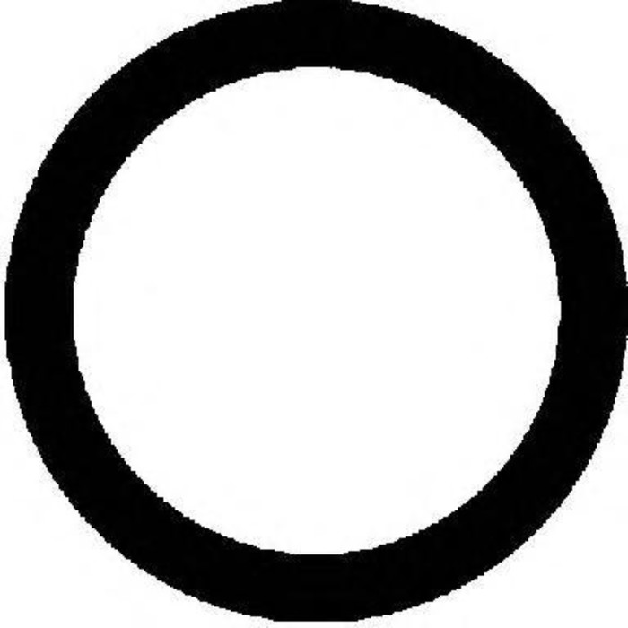 Прокладка впускного коллектора  VICTOR REINZ 712456400