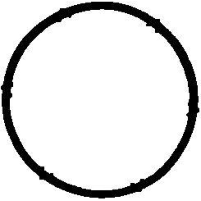 Прокладка впускного коллектора  VICTOR REINZ 713420300