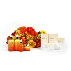 

Витаминизированный осветляющий тоник Vital Bright The Skin House, 130 мл