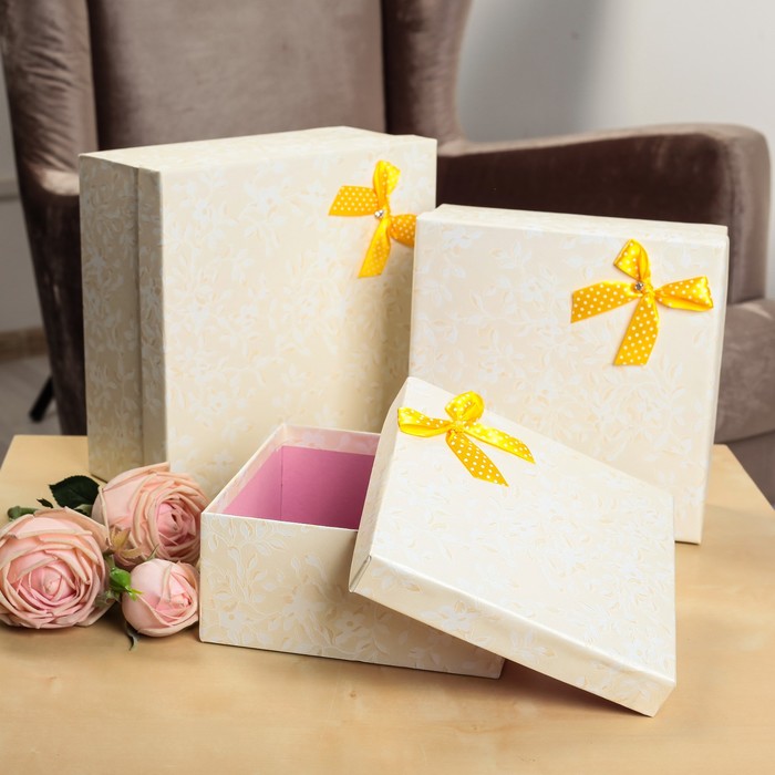 Набор коробок 3в1, 23,5 х 23,5 х 10,5 - 18 х 18 х 9 см