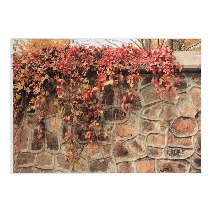 Фотофон винил "Каменная кладка и вьюнок" 80х125 см