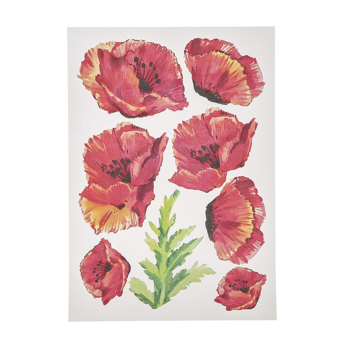 Набор карта А4 и термопластик "Алый мак"