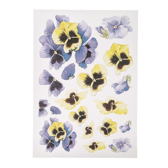 Набор карта А4 и термопластик "Анютины глазки"