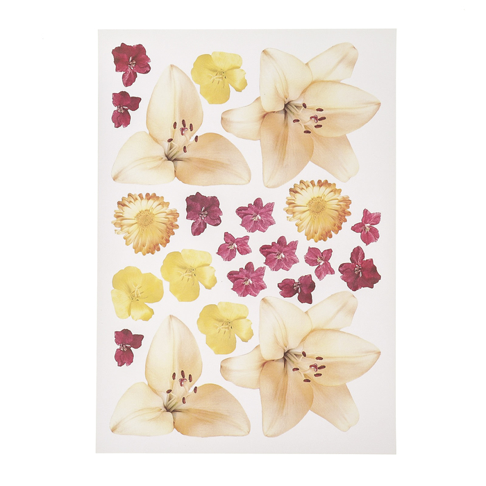 Набор карта А4 и термопластик "Жёлтая лилия"