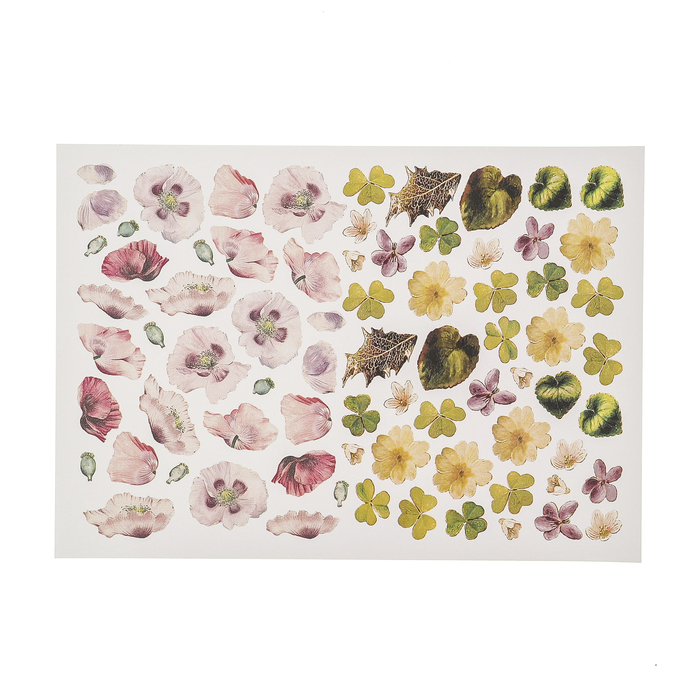 Набор карта А4 и термопластик "Полевая гамма"