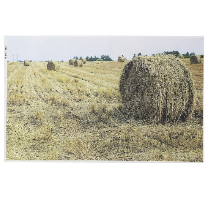 Фотофон винил "Сенокос" 80х125 см