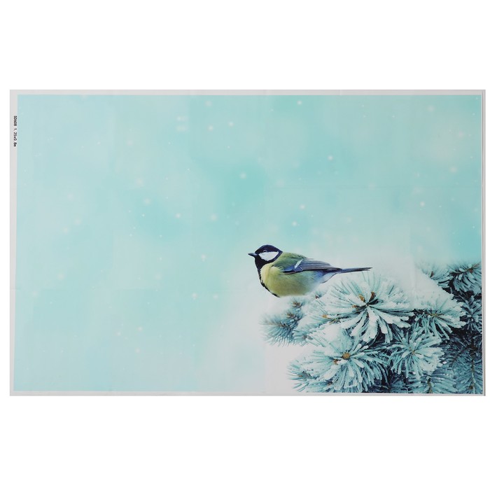 Фотофон винил "Синица на ели" 80х125 см