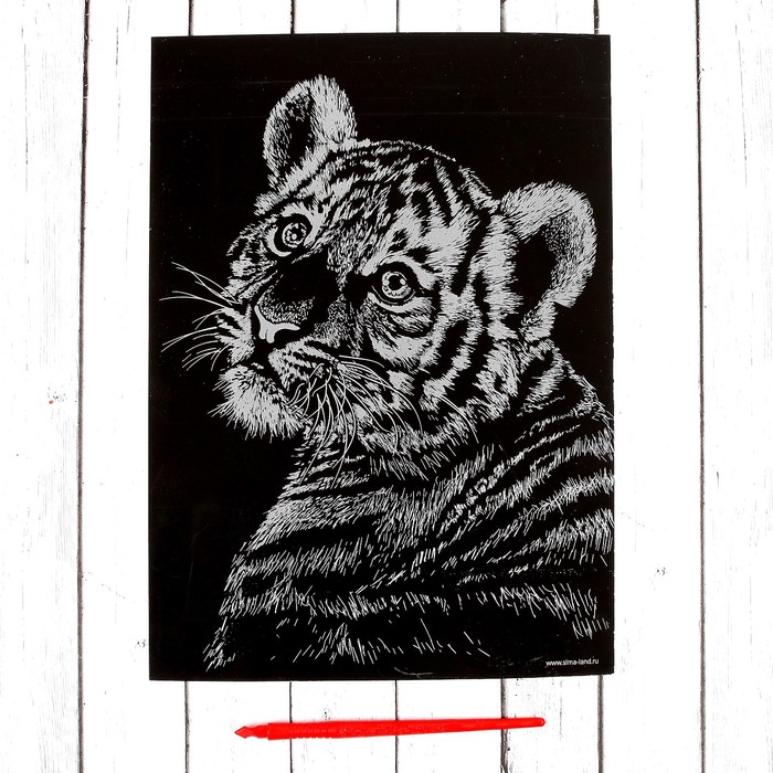 Гравюра "Тигренок" с металлическим эффектом А4 - серебро + штихель