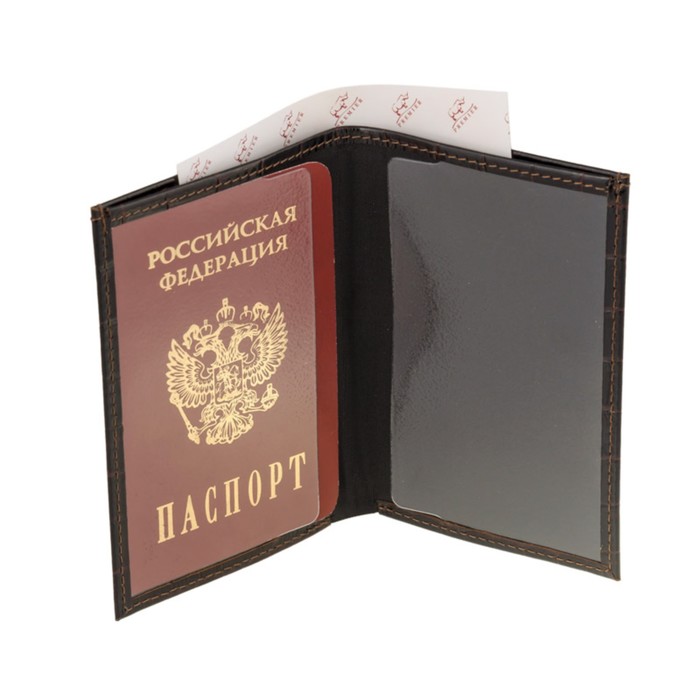 Обложка для паспорта+купюрник, н/к, цвет