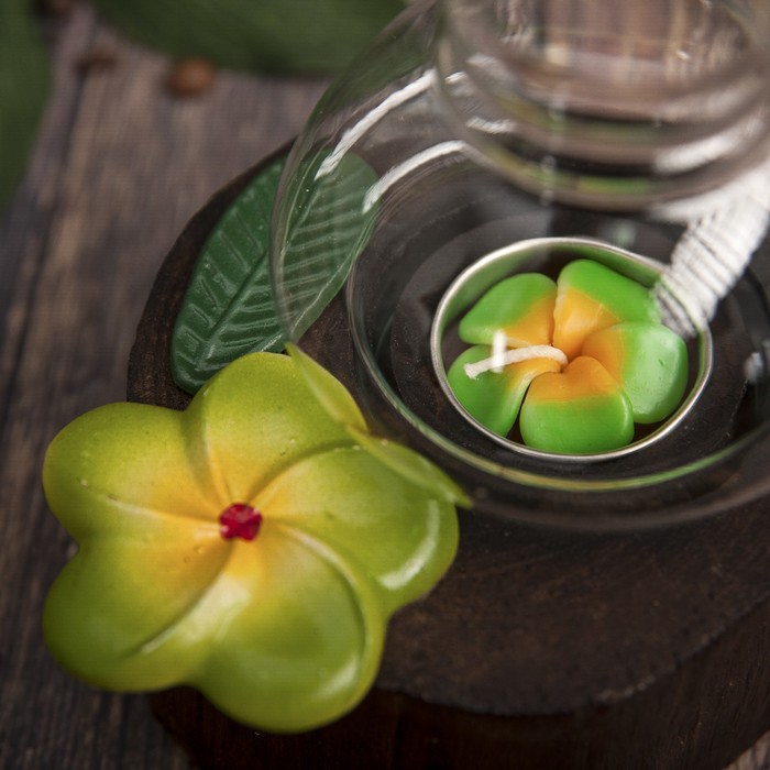 Подсвечник "Зелёный цветок" дерево, стекло 15х11х15 см