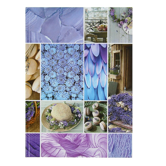 Колледж-тетрадь А4, 160 листов клетка Calligrata "Уют", твёрдая обложка