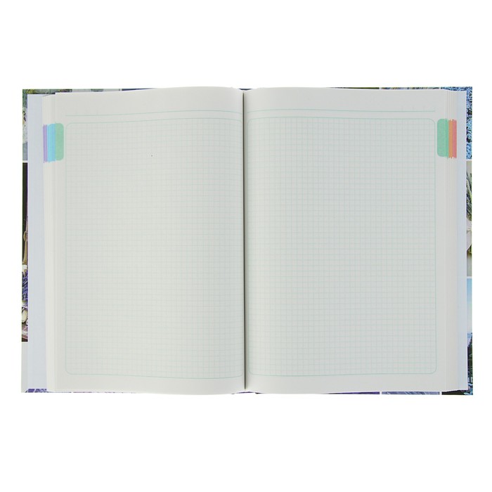 Колледж-тетрадь А4, 160 листов клетка Calligrata "Уют", твёрдая обложка