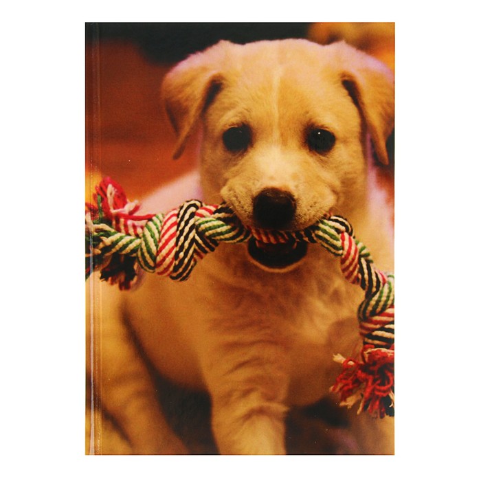 Колледж-тетрадь А5, 160 листов клетка Calligrata "Собачка", твёрдая обложка