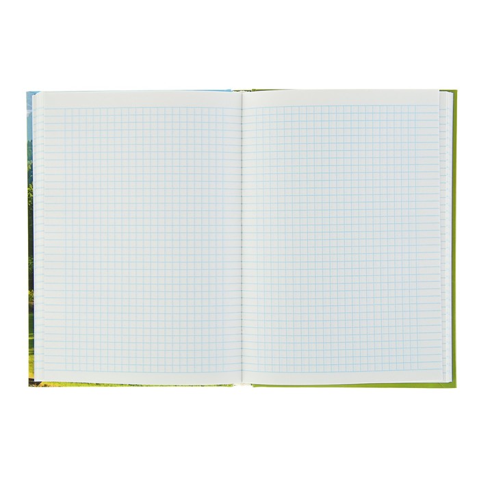 Колледж-тетрадь А5, 160 листов клетка Calligrata "Горный пейзаж", твёрдая обложка