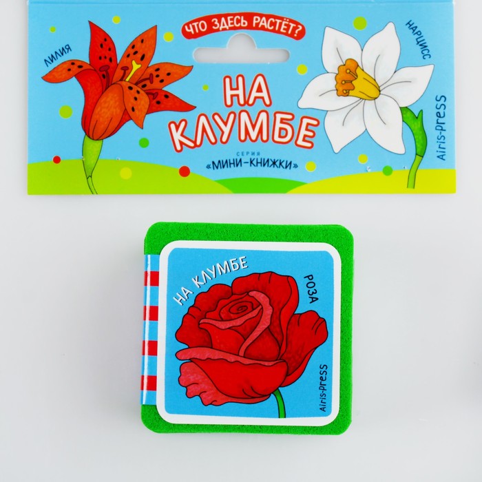 Мини-книжки EVA. Что здесь растёт? На клумбе. Куликова Е.Н. 26558