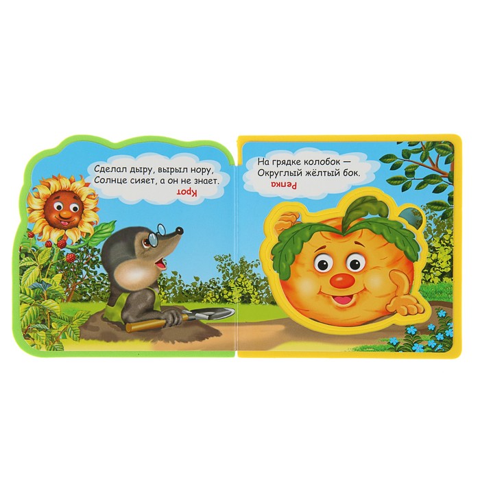 Книга EVA Загадки. «Кто не знает, что солнце сияет»