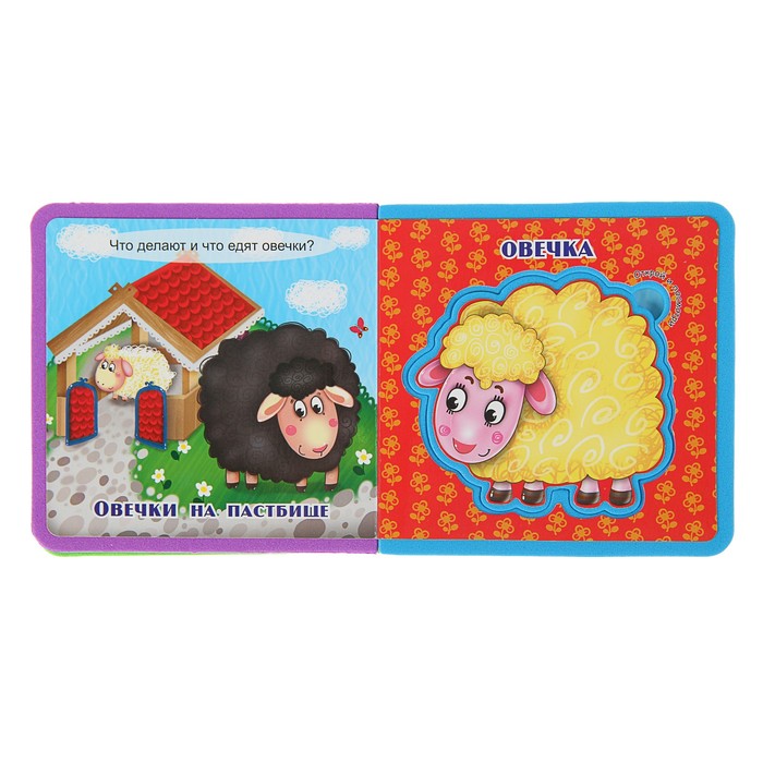 Книга EVA «Кто жует, кто грызет»