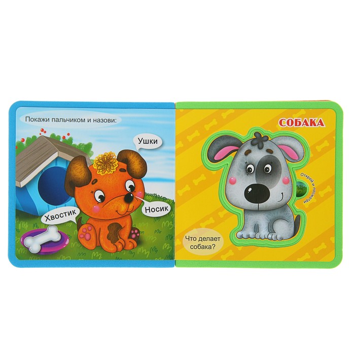 Книга EVA «Кто прыгает, кто бегает»