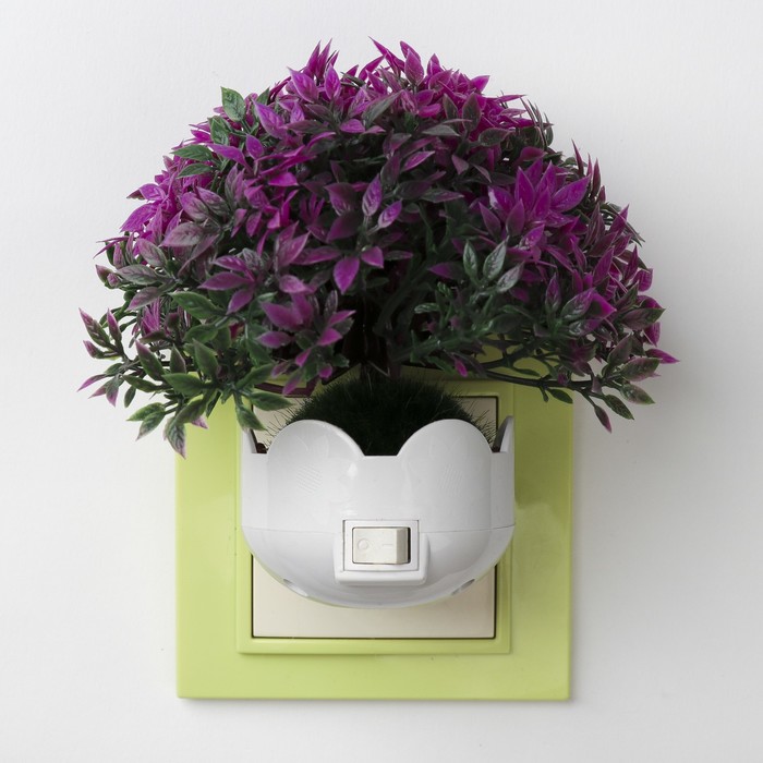 Ночник &quot;Остролистник&quot; 6хLED от сети 220В МИКС 10х10х10,5см