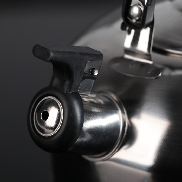 Чайник со свистком 1,5 л "Семейный"