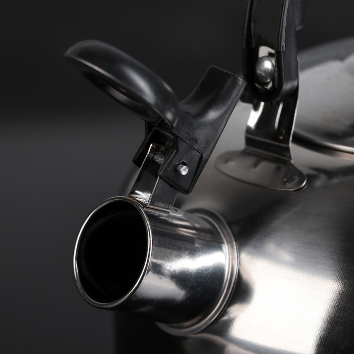 Чайник со свистком 1,5 л "Семейный"