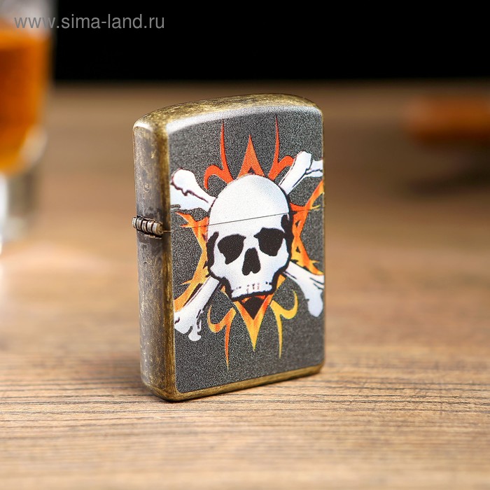

Зажигалка электронная "Череп в огне", дуговая, USB, 1.4 х 4 х 5.5 см, черная