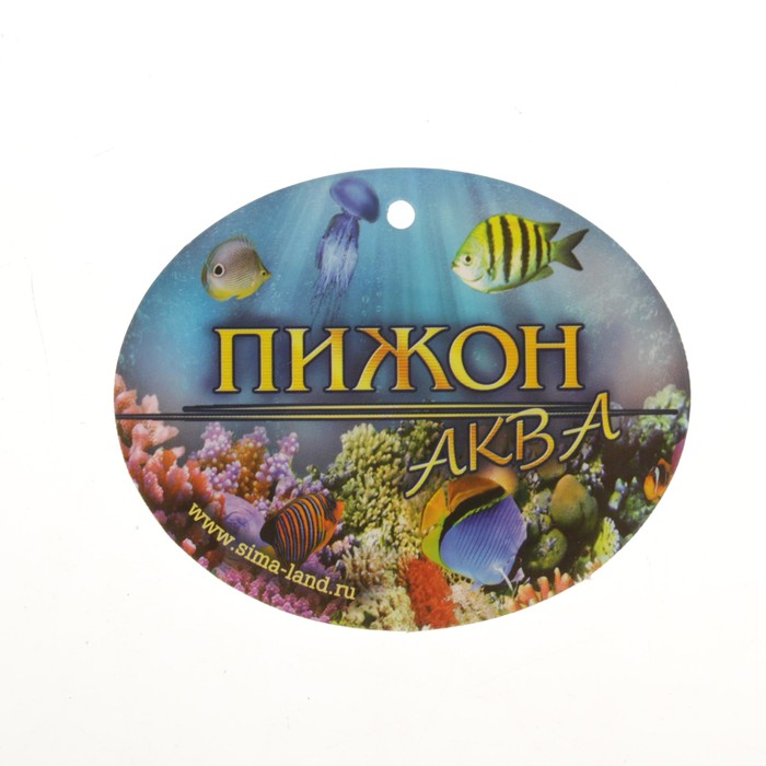 Растение аквариумное на камнях, 24 х 23 х 20 см