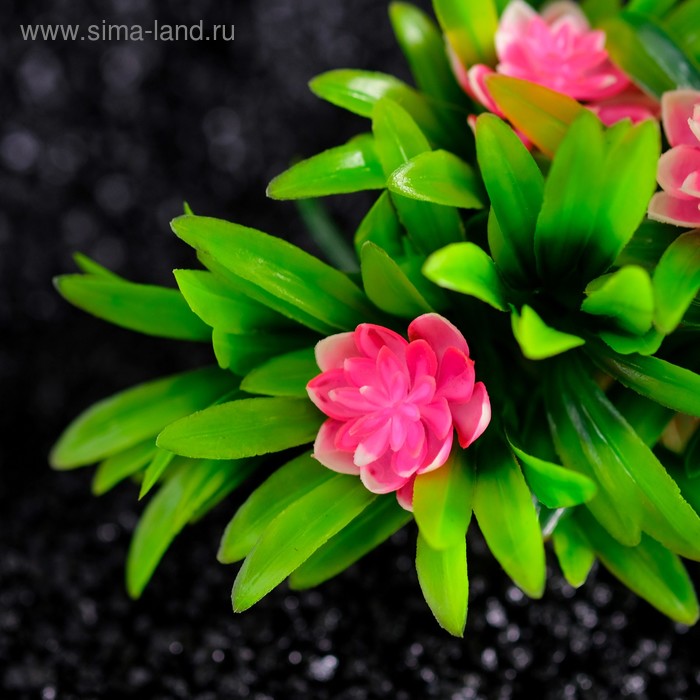 

Растение искусственное аквариумное, 20 х 12 х 11 см,