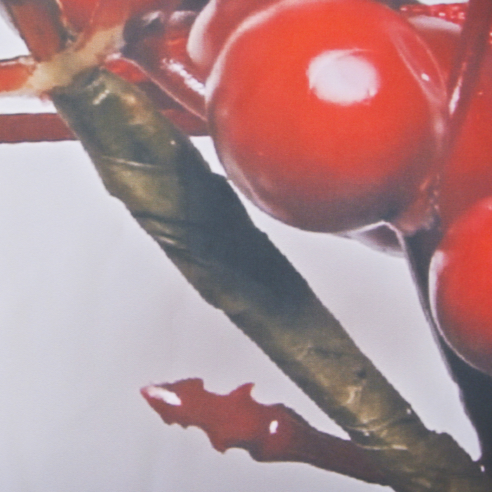 Фотошторы Праздничные Ягодки 145х260 см 2 шт, габардин 160 гр/м, пэ 100%