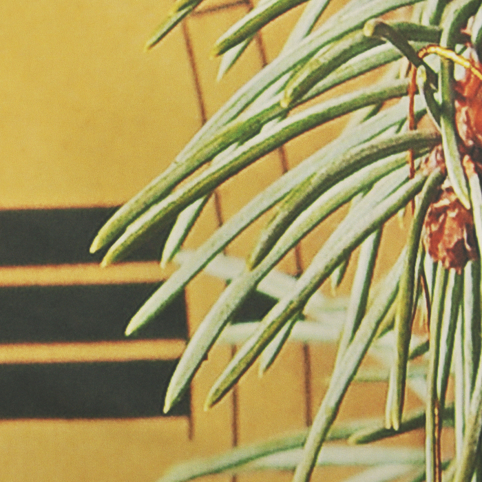 Фотошторы Праздник близко 145х260 см 2 шт, габардин 160 гр/м, пэ 100%