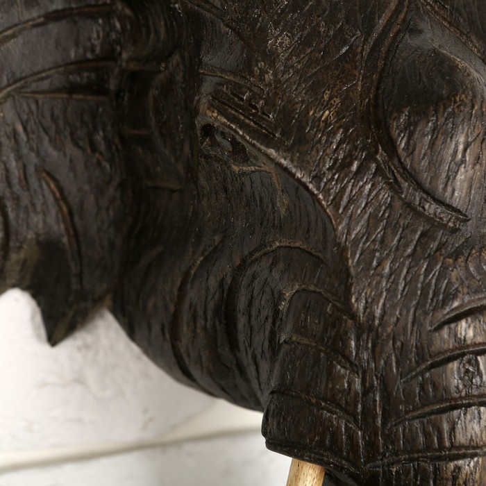 Панно дерево "Голова слона" 30х30х12 см