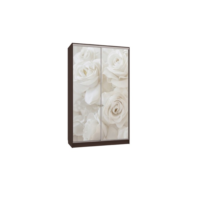 Шкаф-купе Рио 7 Розы (полки слева), 604х1200х2305, Венге