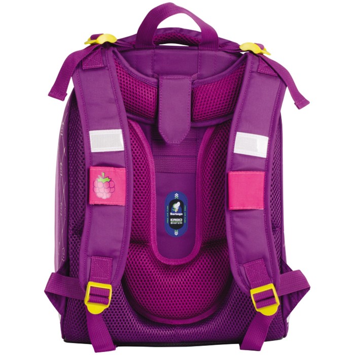 Рюкзак каркасный Berlingo Expert "Dreaming bears" 37*29*18см, 2 отделения 254928